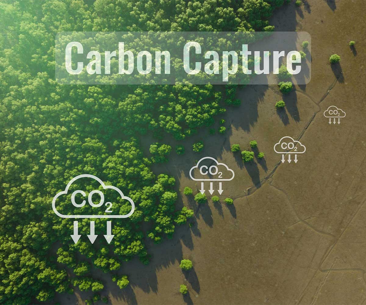 Carbon Management