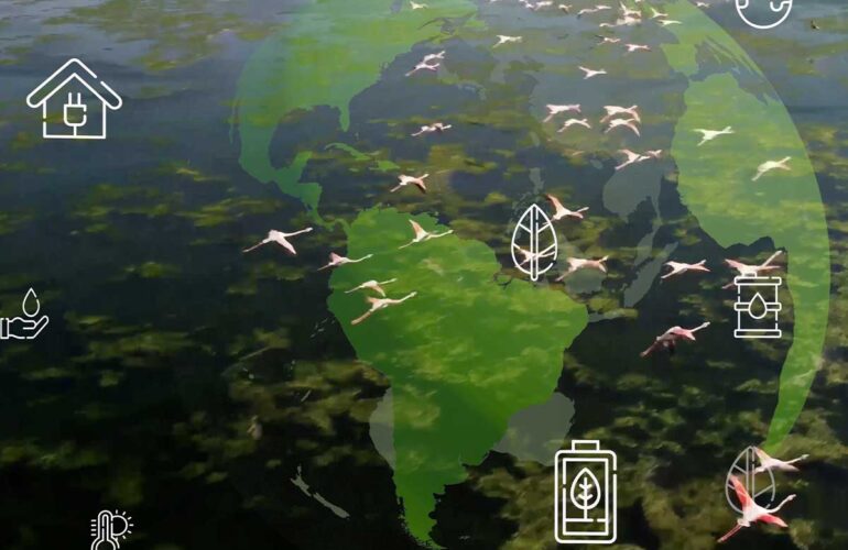 Environmental Management System